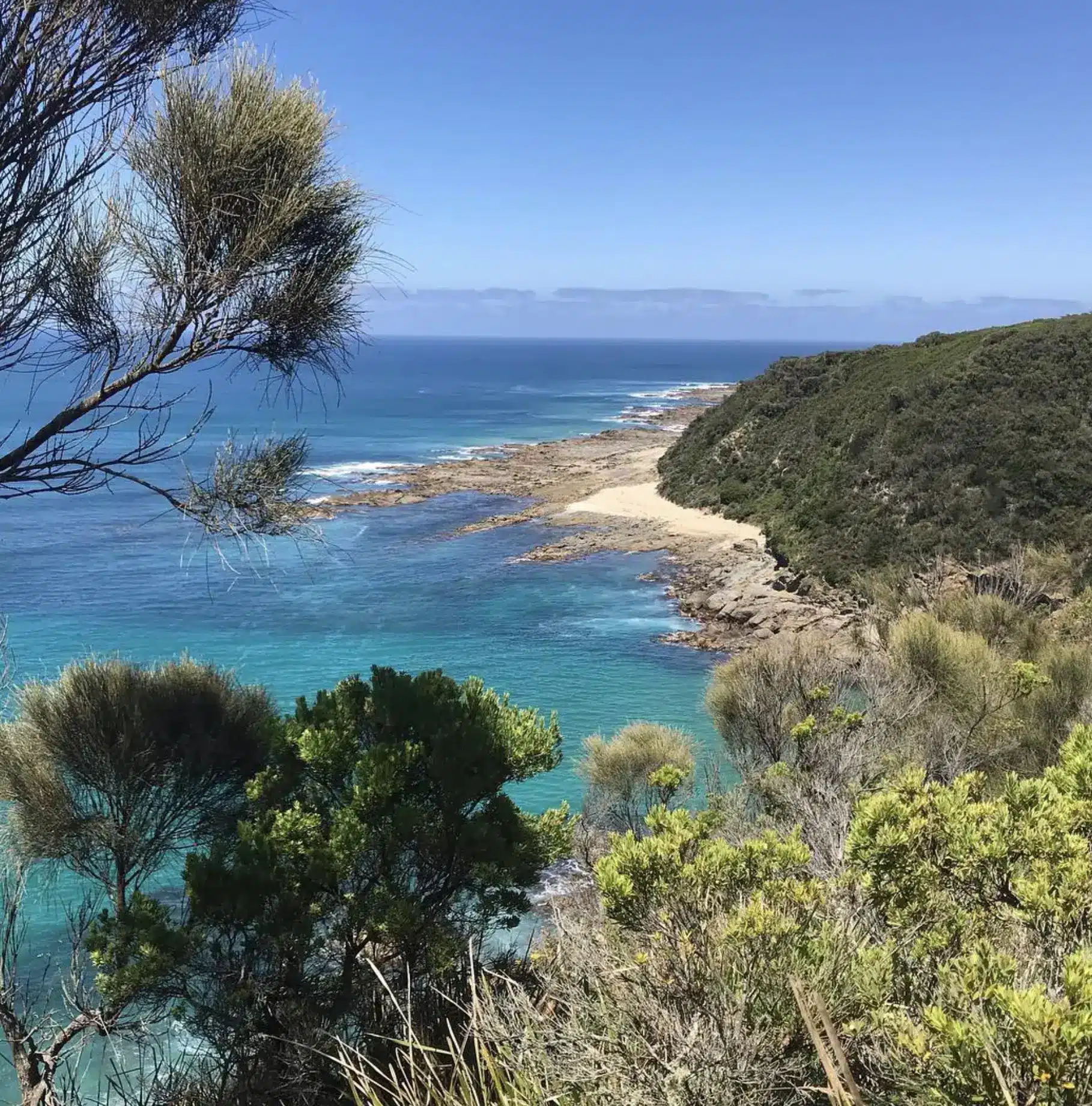 Discover the Charm of Cape Otway’s Hidden Haven