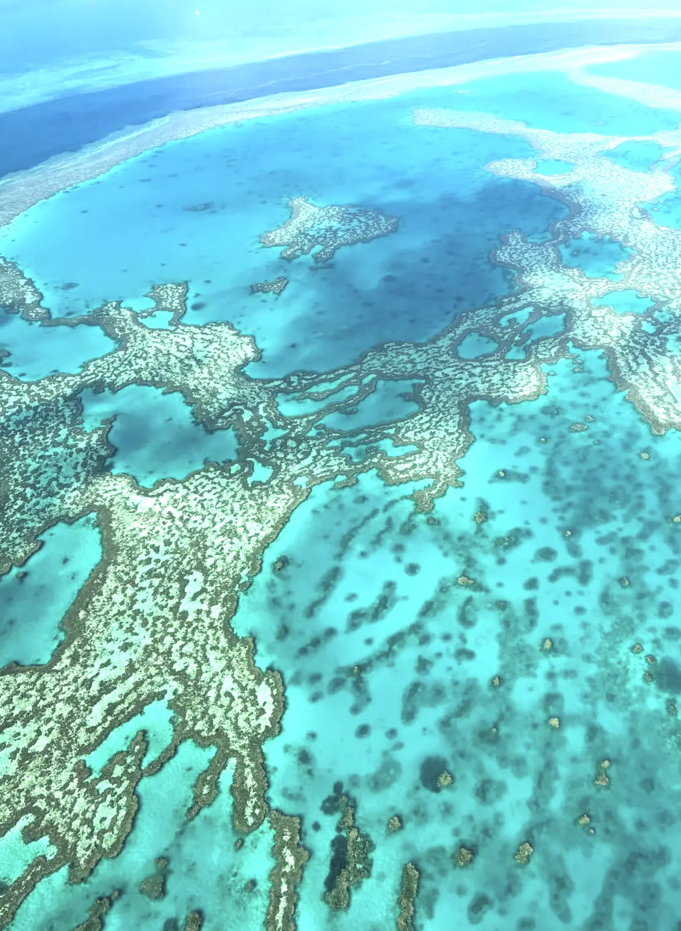 Reef Tours Differ Wildly In Quality