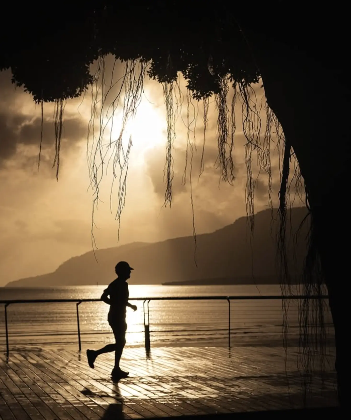 Your Guide to Moving Along the Waterfront Route