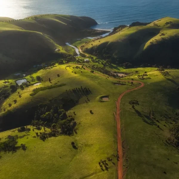 adelai to kangaroo island tour
