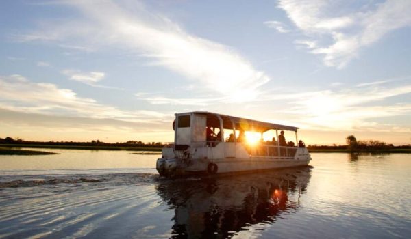 Discover the beauty of the Northern Territory's Top End through these five incredible wildlife encounters. From crocodile cruises to bird watching, there's something for every nature enthusiast.