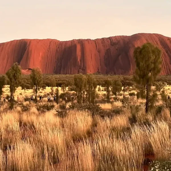 2 Day Uluru & Kata Tjuta Rock Tour