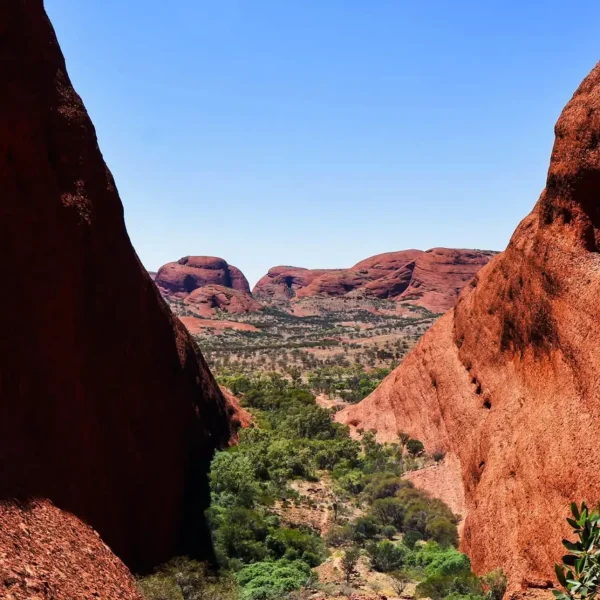 2 day uluru tour Yuiara