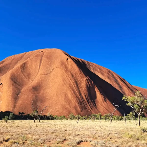 3 day Uluru exploration from Yulara