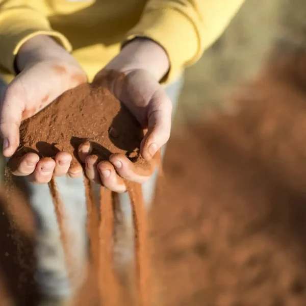 4 day Uluru Kata Tjuta tour from Yulara