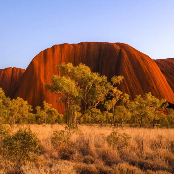 4 day Uluru to Kings Canyon tour