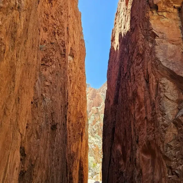 4 day guided outback tour from Yulara