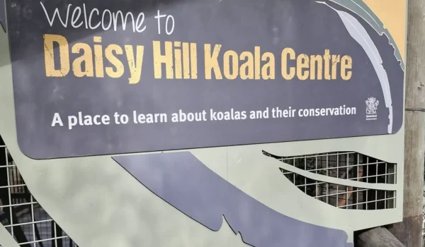 Koala Conservation Centre