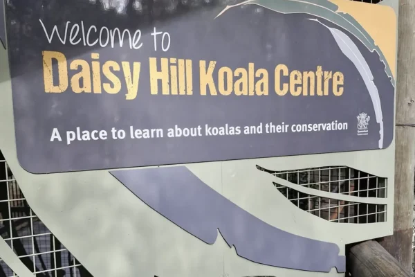 Koala Conservation Centre