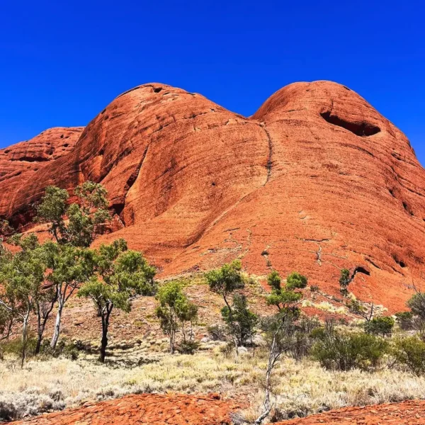 best tour at uluru from Ayers Rock