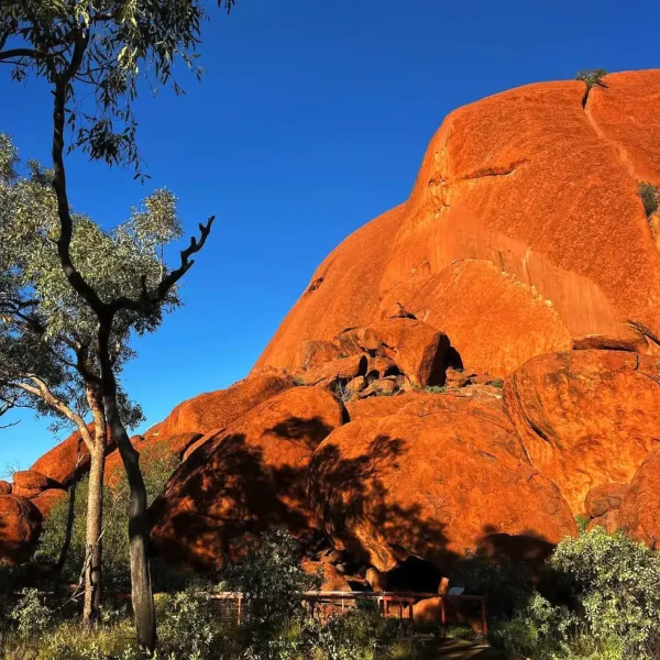 four day 4WD outback tour from Ayers Rock