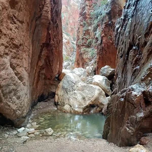 four day Kings Canyon adventure from Yulara