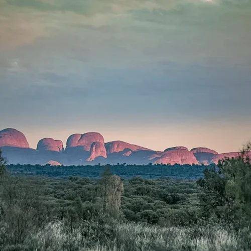 kata tjuta small group tours