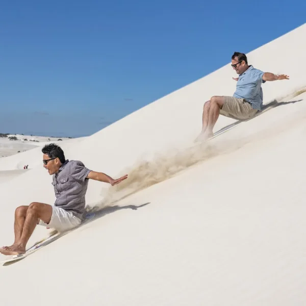 perth to pinnacles day trip