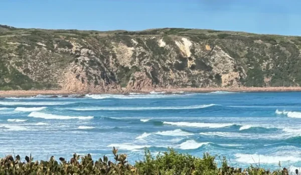 surf beach phillip island