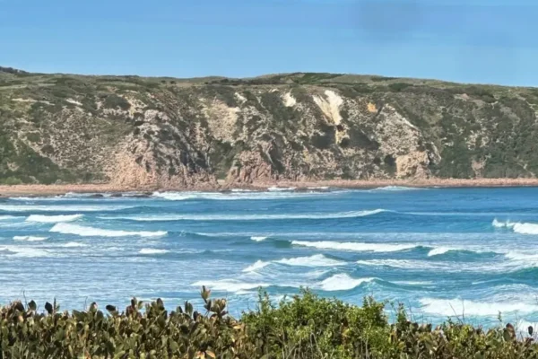 surf beach phillip island