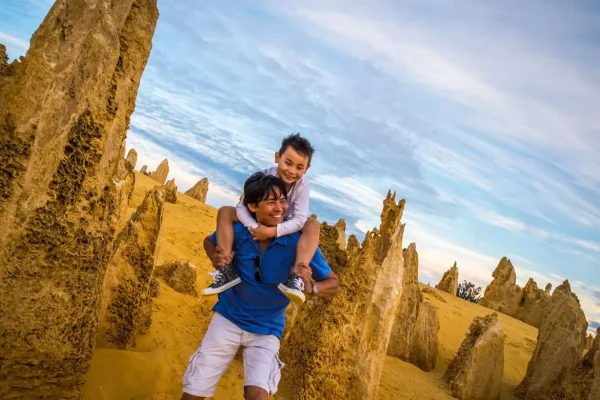 the pinnacles tours