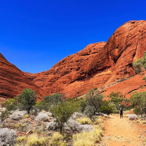 three day Uluru adventure from Yulara