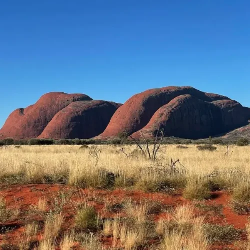 tours at uluru