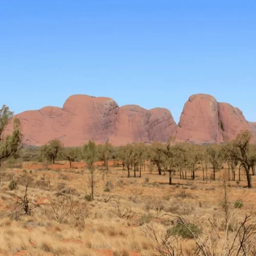 ularu tours