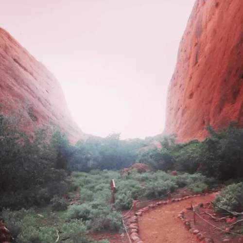 uluru camping tour 3 days