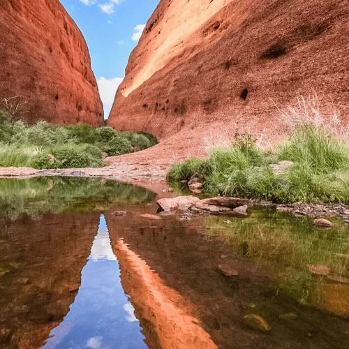 uluru tour