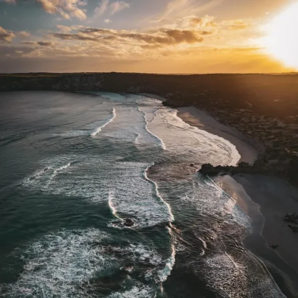 kangaroo island day trip