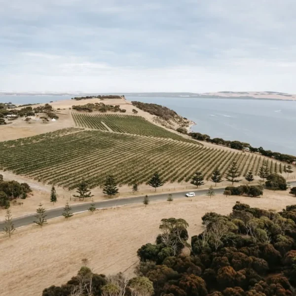 kangaroo island tours