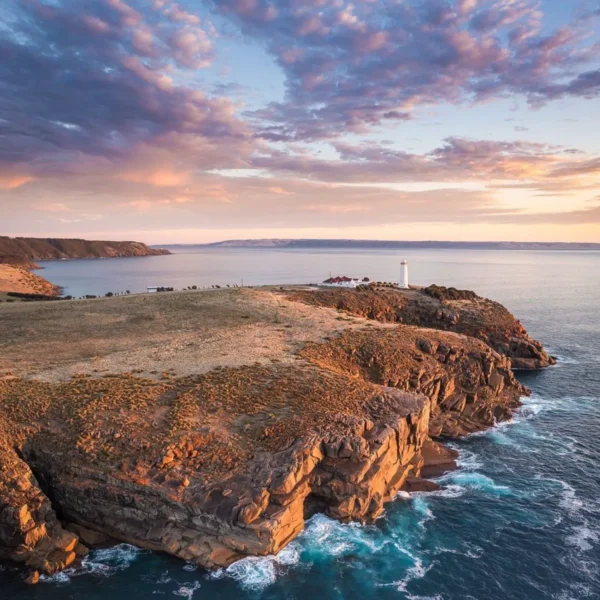 kangaroo island tours adelaide