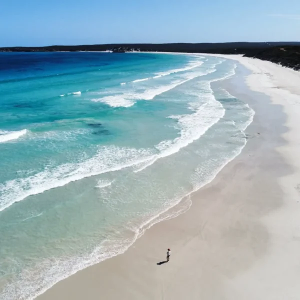 tours kangaroo island