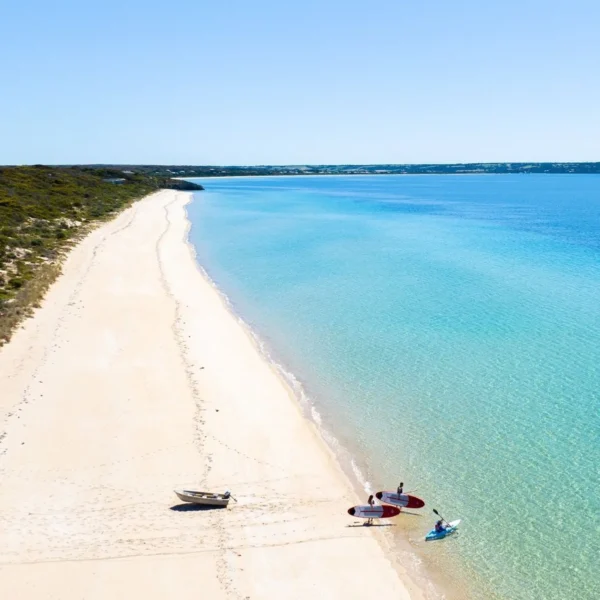 tours to kangaroo island